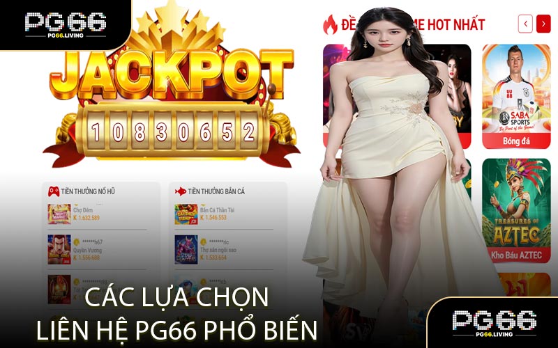Các Lựa Chọn Liên Hệ PG66 Phổ Biến 