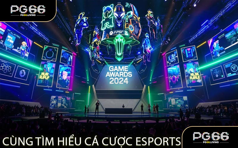 Cùng Tìm Hiểu Cá Cược Esports
