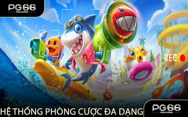 Hệ Thống Phòng Cược Đa Dạng Từ Cấp Độ Thấp Đến Cao
