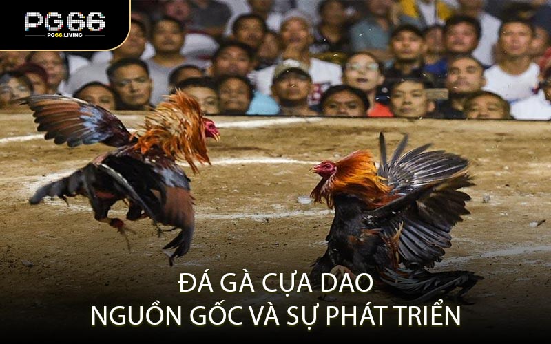 Đá gà cựa dao – Nguồn gốc và sự phát triển
