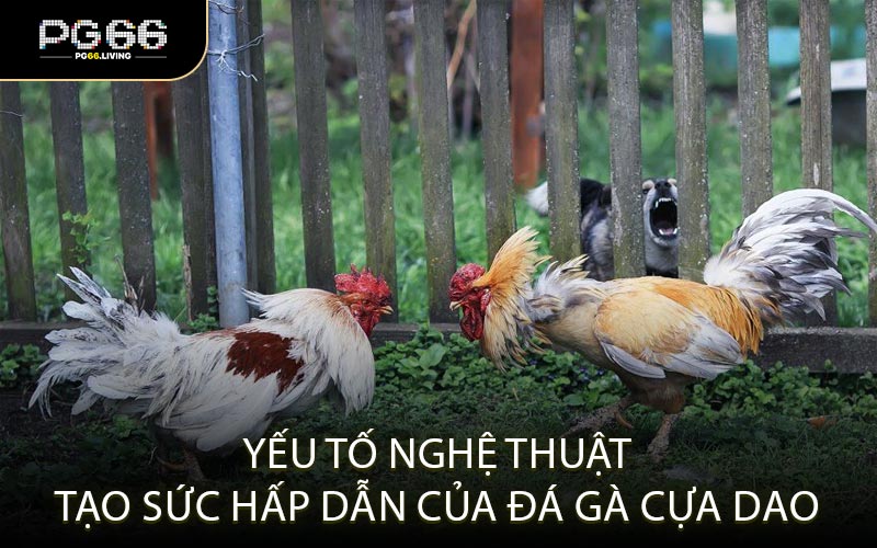 Yếu tố nghệ thuật tạo sức hấp dẫn của đá gà cựa dao
