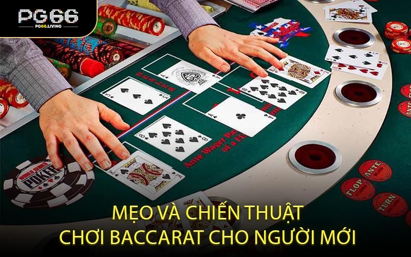 Mẹo và chiến thuật chơi baccarat cho người mới