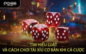 Tìm hiểu luật và cách chơi tài xỉu cơ bản khi cá cược