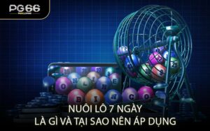 Nuôi lô 7 ngày là gì và tại sao nên áp dụng