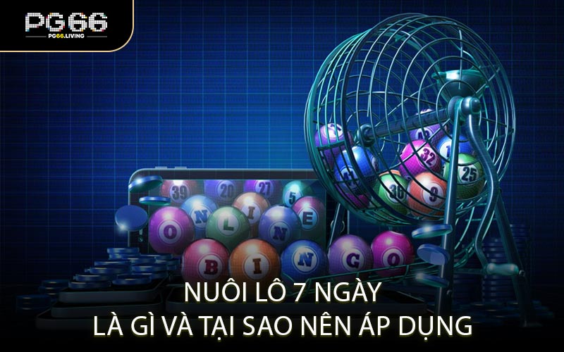 Nuôi lô 7 ngày là gì và tại sao nên áp dụng