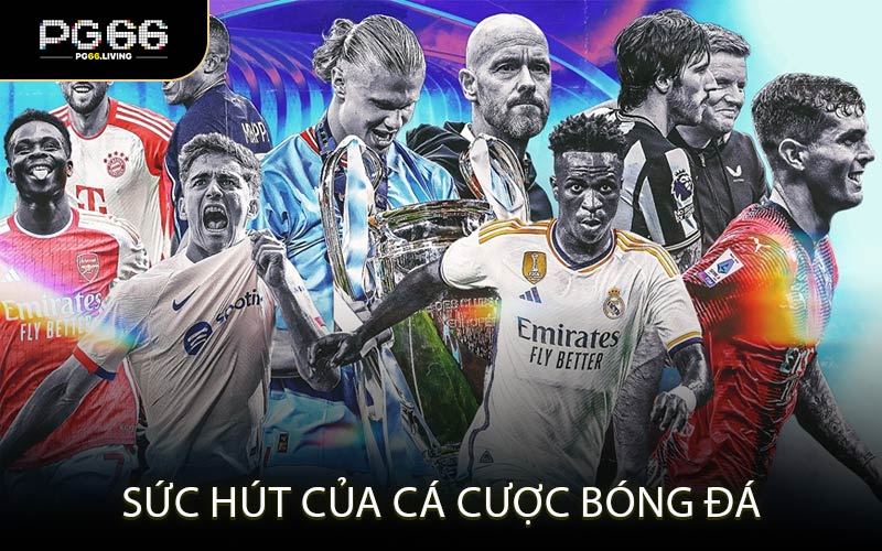 Sức hút của cá cược bóng đá