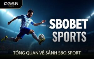 Tổng quan về sảnh SBO Sport