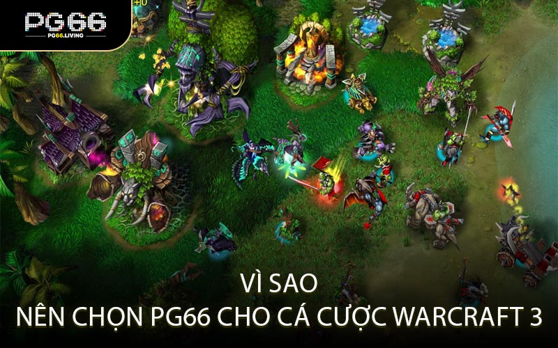Vì Sao Nên Chọn PG66 Cho Cá Cược Warcraft 3