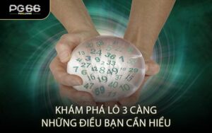 Khám Phá Lô 3 Càng Những Điều Bạn Cần Hiểu