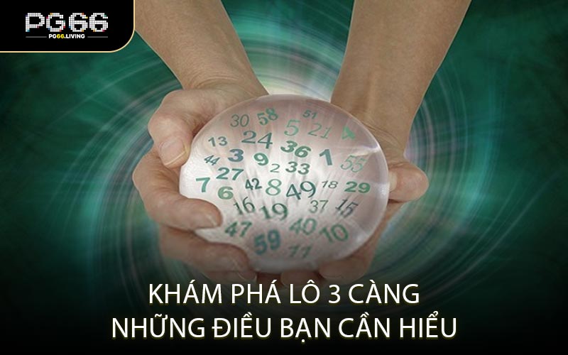 Khám Phá Lô 3 Càng Những Điều Bạn Cần Hiểu