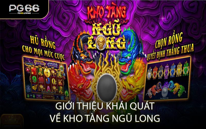 Giới thiệu khái quát về Kho Tàng Ngũ Long