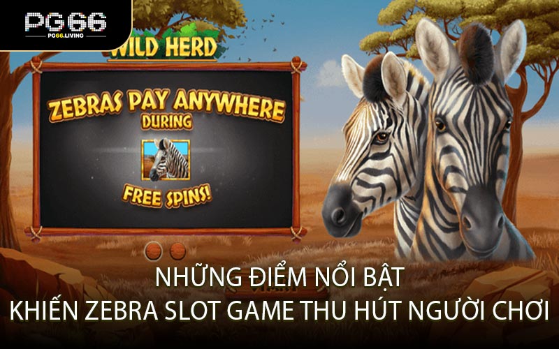 Những điểm nổi bật khiến Zebra Slot Game thu hút người chơi